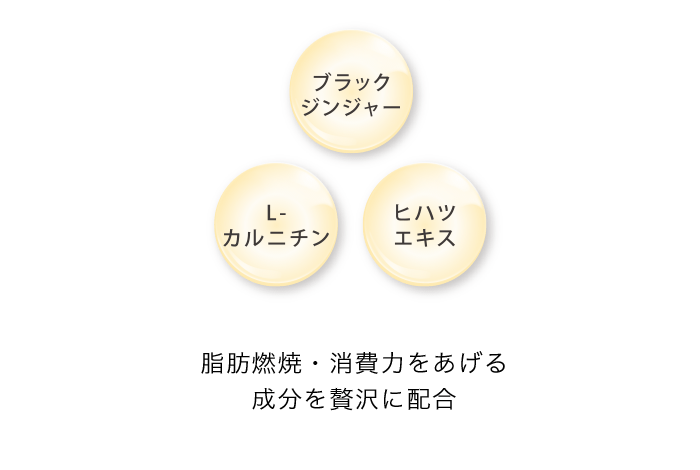 脂肪燃焼・消費力をあげる成分を贅沢に配合